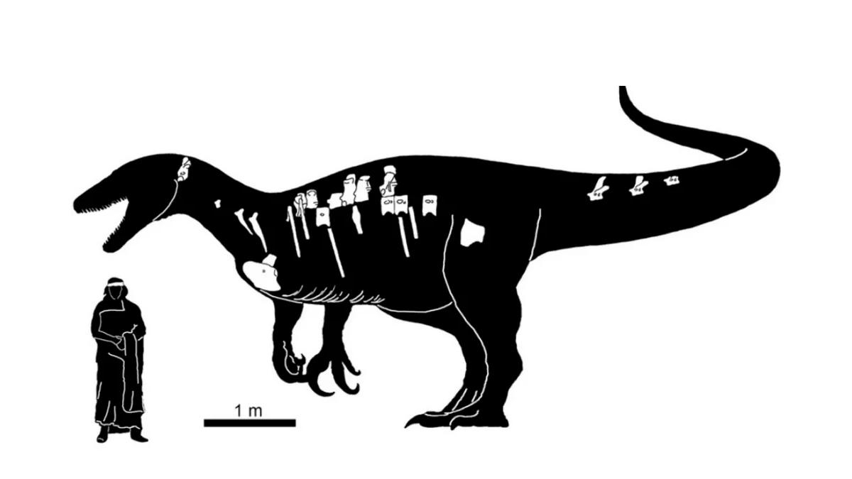 Тень смерти: в Аргентине обнаружили останки нового вида динозавра