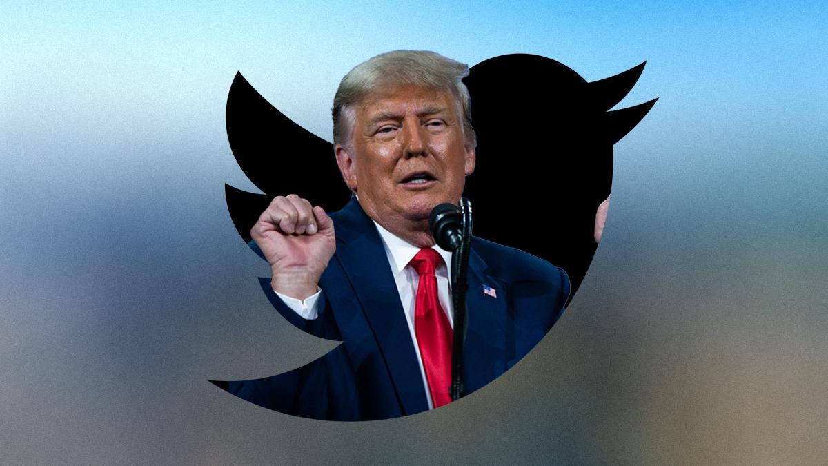 Илон Маск разблокирует Дональда Трампа в Twitter