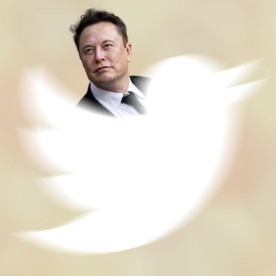 Хаос і маніпуляція: інвестори Twitter подали до суду на Ілона Маска