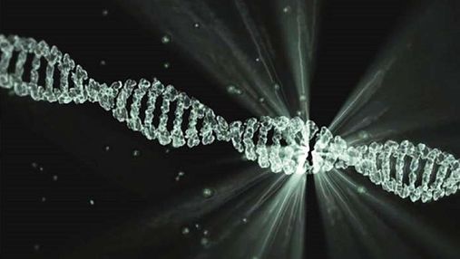 Ученые нашли революционный рецепт сверхпроводника в ДНК