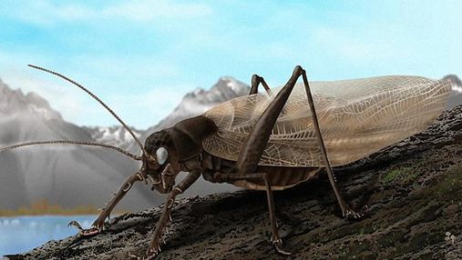 Науковці відтворили звуки комахи, яку не бачили вже 150 років: її сподіваються знайти знову