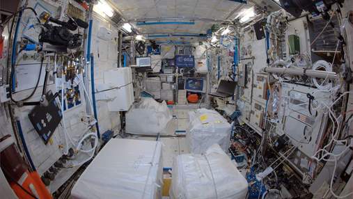 Все задля науки: астронавти протягом року не прибирали бруд в модулі МКС
