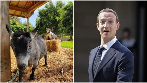 В Цукерберга есть козел, которого он назвал Биткоин: фото подорвало сеть