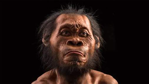 Палеоантропологи знайшли залишки дитини Homo naledi