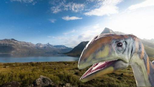 У Гренландії знайшли новий вид динозавра, який мешкав тільки у цій області