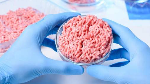 Культивируемое мясо от Tiamat Sciences будет в разы дешевле настоящего