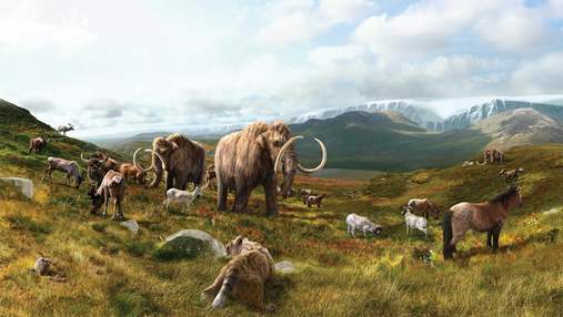 Мамонты Аляски существовали на тысячи лет дольше: исследование