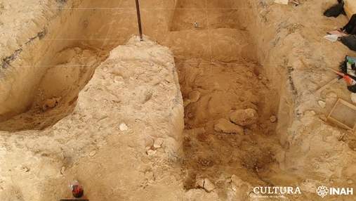 Копали могилу: на кладбище в Мексике выкопали мамонта