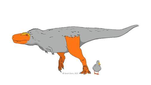 Морди та лапи динозаврів могли мати дуже яскраві кольори: дослідження