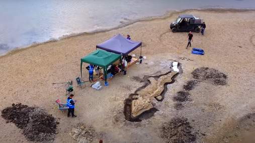 У Великій Британії виявили скелет величезного іхтіозавра: лише його череп важить майже тонну